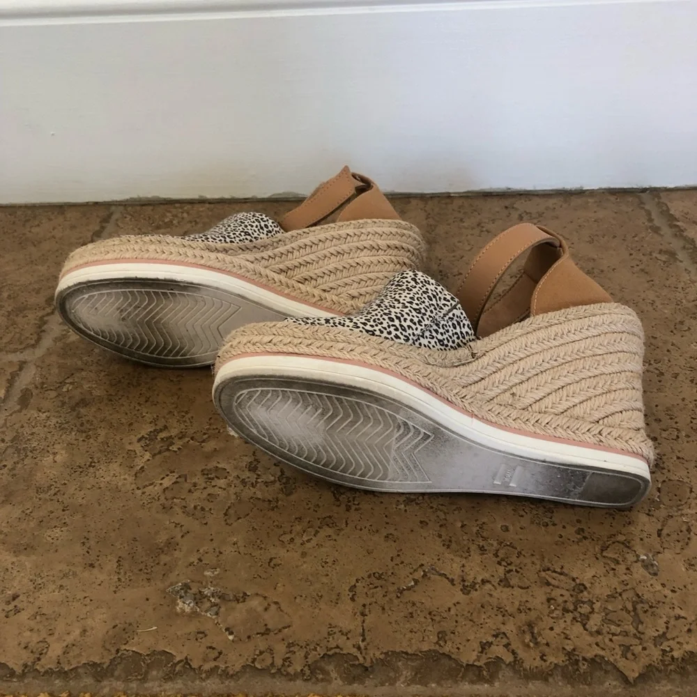 Toms from afternoon
